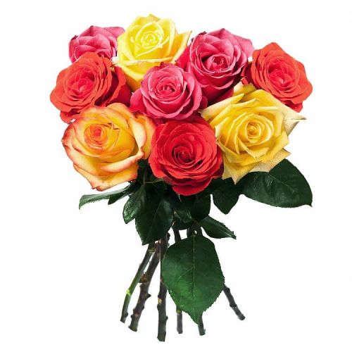Заказать с доставкой 9 разноцветных роз по Агинскому Бурятскому АО